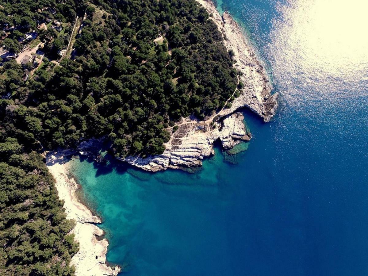 Amfora Deluxe Studio Pula Bagian luar foto