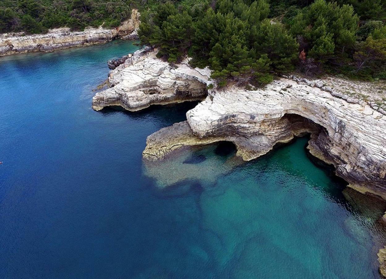 Amfora Deluxe Studio Pula Bagian luar foto